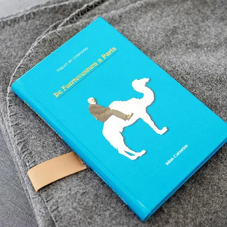 Cuestitas Sol Apartamento Pájara